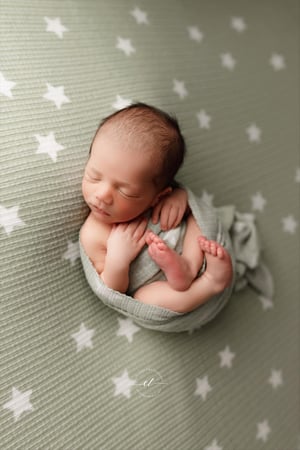 Image of Twinkle Plush / Sage