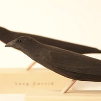 Image 3 of Long Corvid 2021