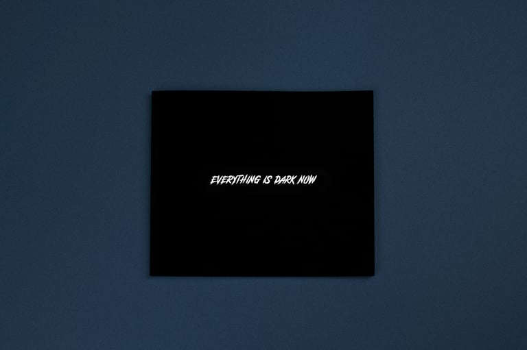 "Everything Is Dark Now"(SOFT COVER)