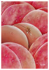 “Choice 4” print (DP442)