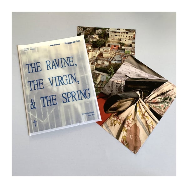 Image of Juan Brenner’s The Ravine, The Virgin, & The Spring 