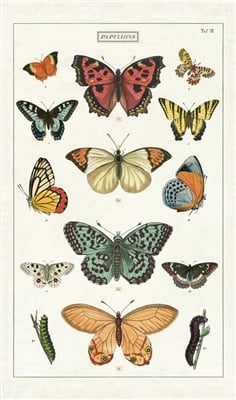 Image of Butterflies Print Cotton Tea Towel - Cavallini Collection