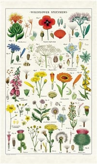 Image 2 of Wildflowers Print Cotton Tea Towel - Cavallini Collection