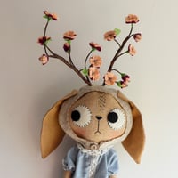 Image 12 of Cherry
