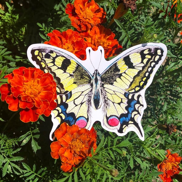 Image of Swallowtail Butterfly Sticker 