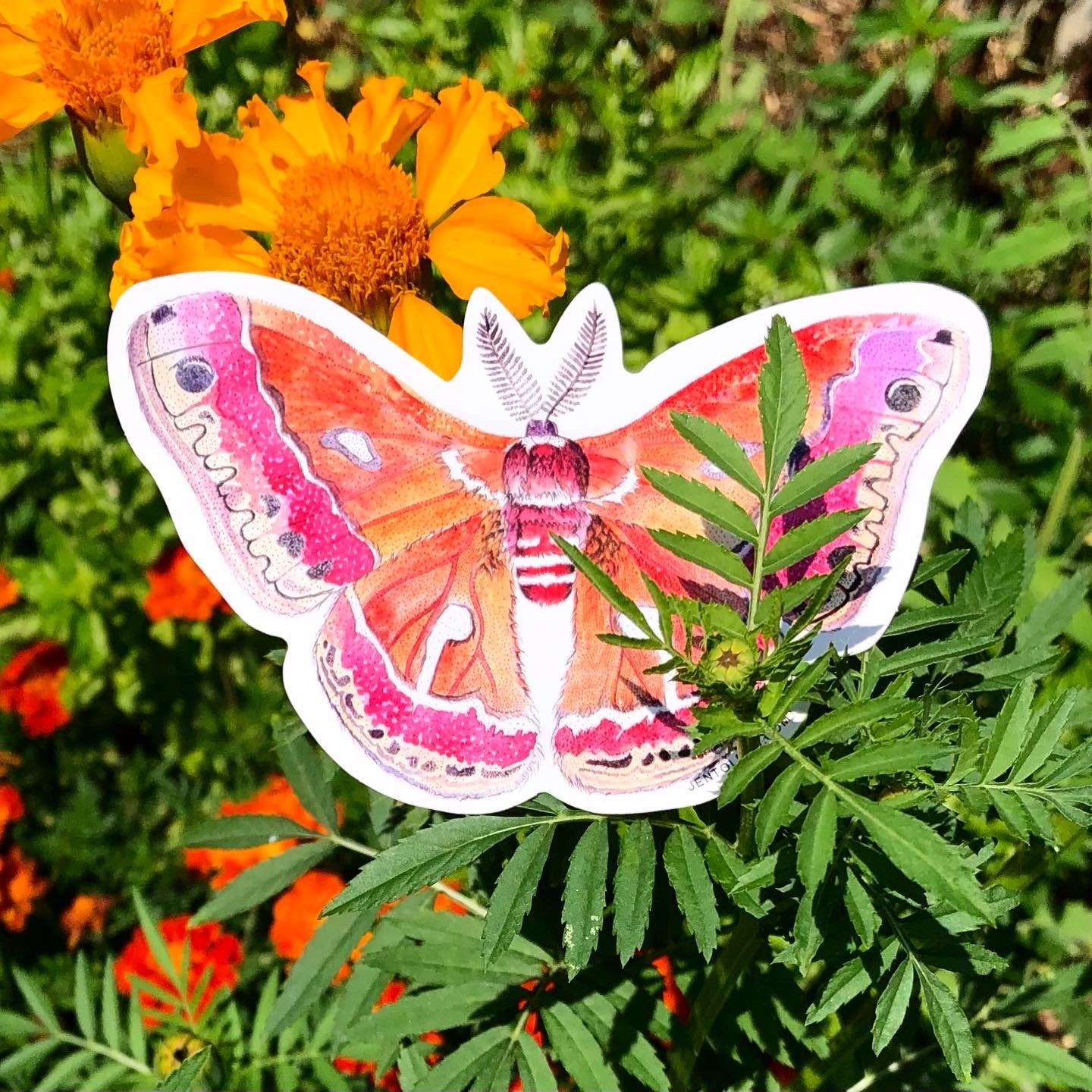 Image of Cecropia Moth Sticker
