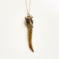 Image 1 of Antler necklace 