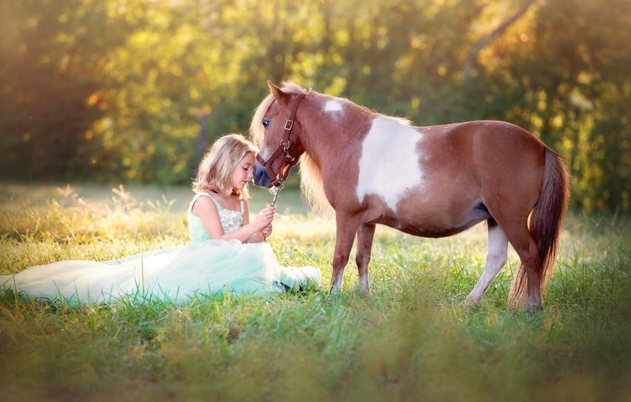 Image of Pony or Unicorn Sessions