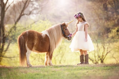 Image of Farm/Pony/Unicorn Sessions - April 2nd