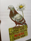 SALE: Never too Late: Overlooked Series/ imperfect 8.5x11 prints 