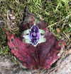Amethyst Crosshatch Double Band Ring (#1187)