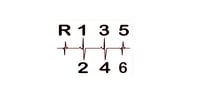 Image 2 of Heartbeat of a racer 6 Speed