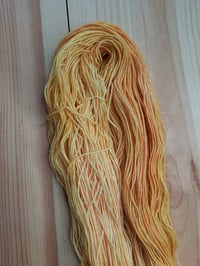 Image 2 of Squash yarn