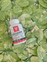 Collagen Complex