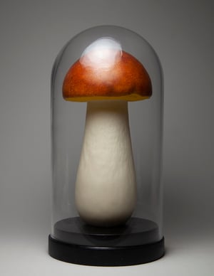 Proto Bolete with Glass Dome