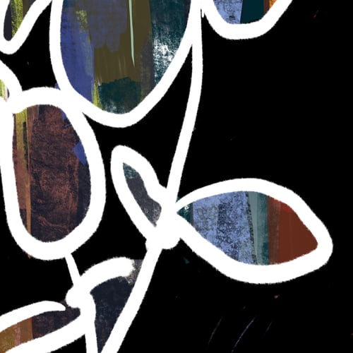 Image of LILY EFFECT