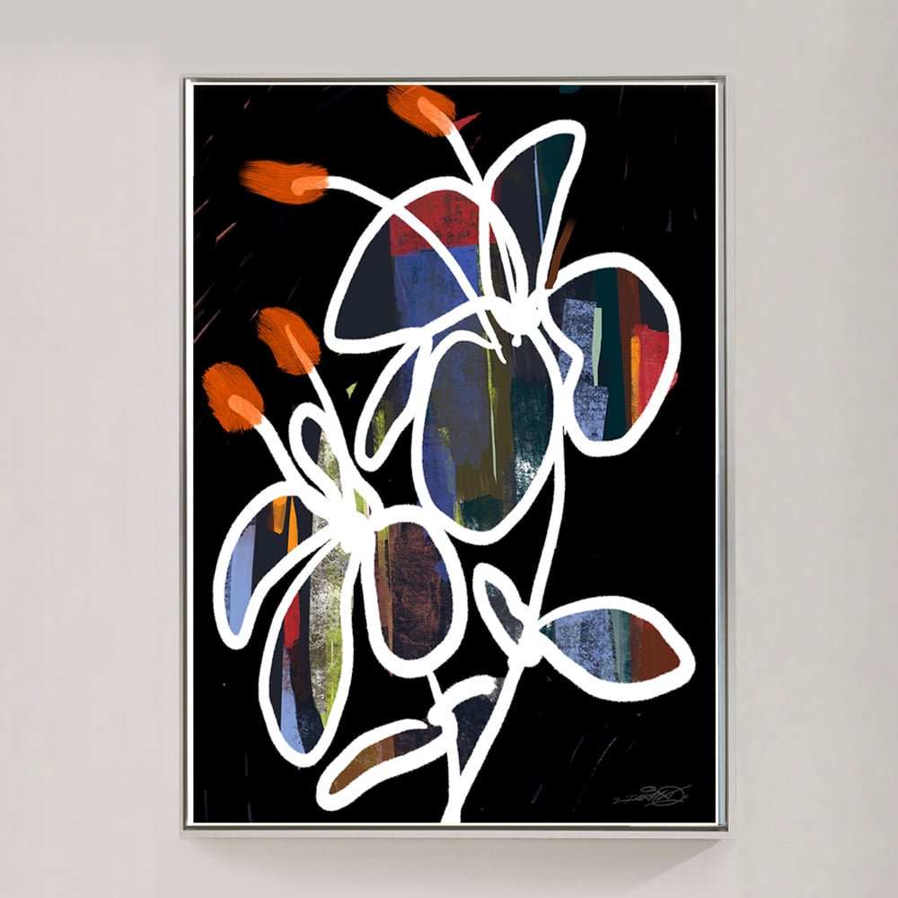 Image of LILY EFFECT