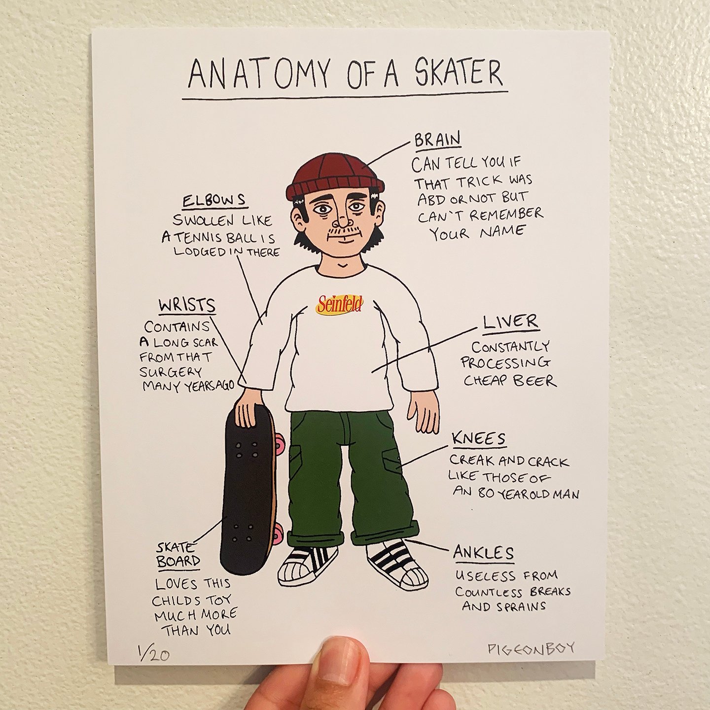 ANATOMY OF A SKATER - PRINT