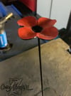 Remembrance Day Poppy