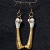 Partially Gilt Femur Earrings