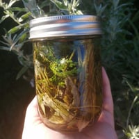 Image 3 of Smoke Free Smudge Spray 4oz