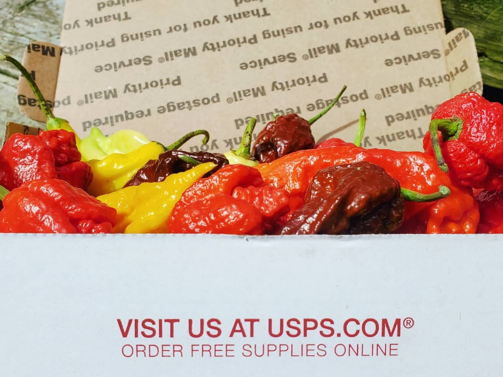 Image of SFRB of Fresh Super Hot Pepper Pods
