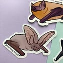 British Bat Stickers (Charity)