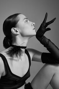 Image 1 of Maxi Transparent Gloves / Gloves / Opera Gloves / Mesh Gloves / Fishnet Gloves / Sheer Gloves 