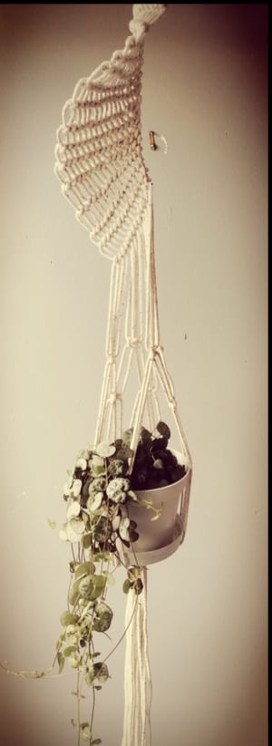 Macramé spiral plant hanger ( more colours available) 