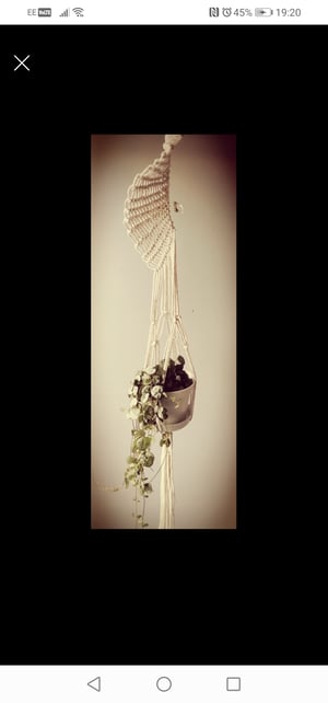 Macramé spiral plant hanger ( more colours available) 