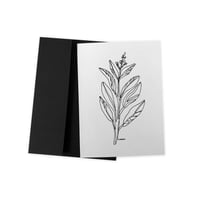 SAGE line drawing GREETING CARD