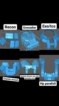 Image 3 of The torso