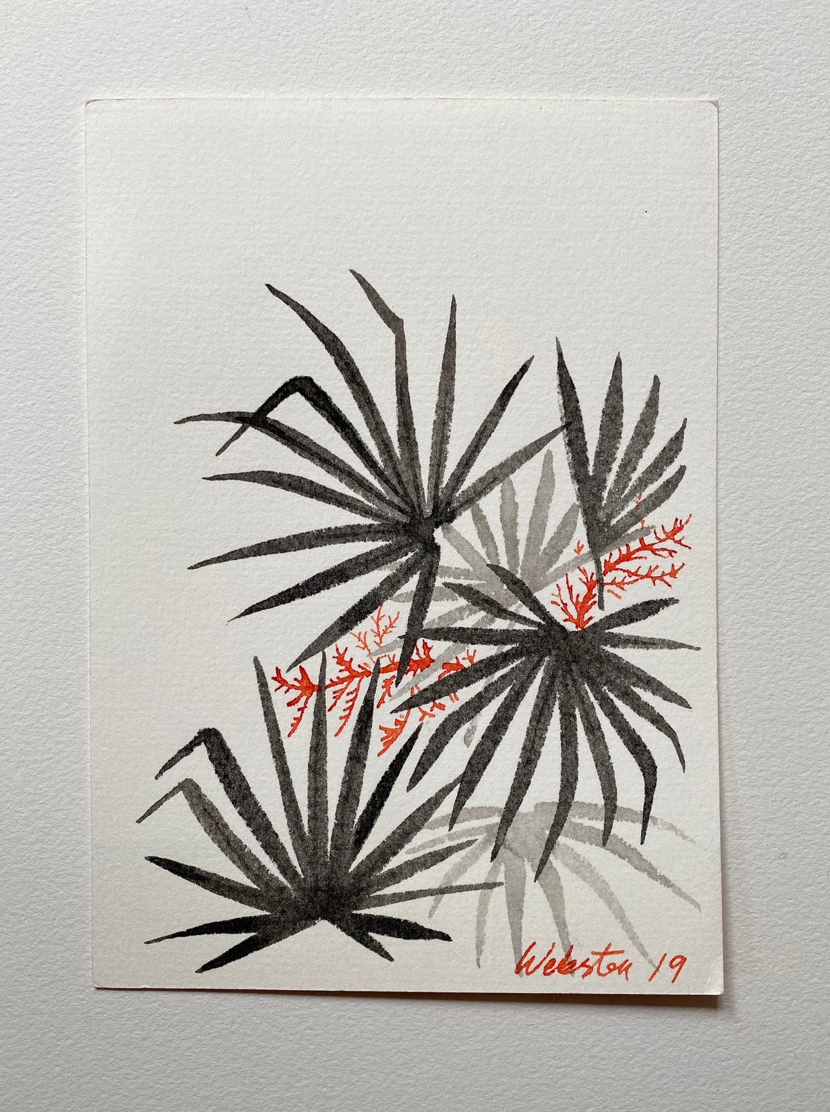 Image of Palm Study II