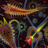 Image 2 of CRYSTALLINE LIFE FORMS v2 • Signed Edition