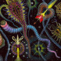 Image 4 of CRYSTALLINE LIFE FORMS v2 • Signed Edition