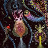 Image 5 of CRYSTALLINE LIFE FORMS v2 • Signed Edition