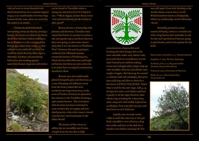 Grimoire Silvanus Zine Issue 4