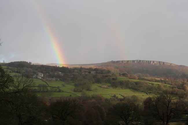 Grimoire Silvanus Zine Issue 4