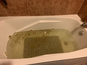 Image of Bathing Herbal Tea Bags