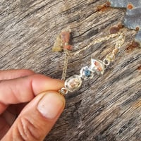 Image 2 of Silver Salad 02