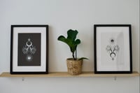 SOLD OUT « Black Hole Sun » Diptyque