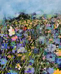 Cornflowers 