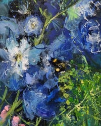 Delphiniums 