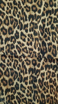 Image 2 of Cheetah Coilover Socks