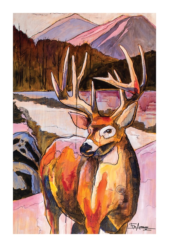 Image of Whitetail Deer - BHA Limited Edition Series
