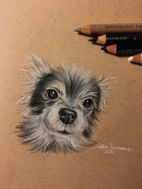 Image 4 of Custom Paper Pet Portrait