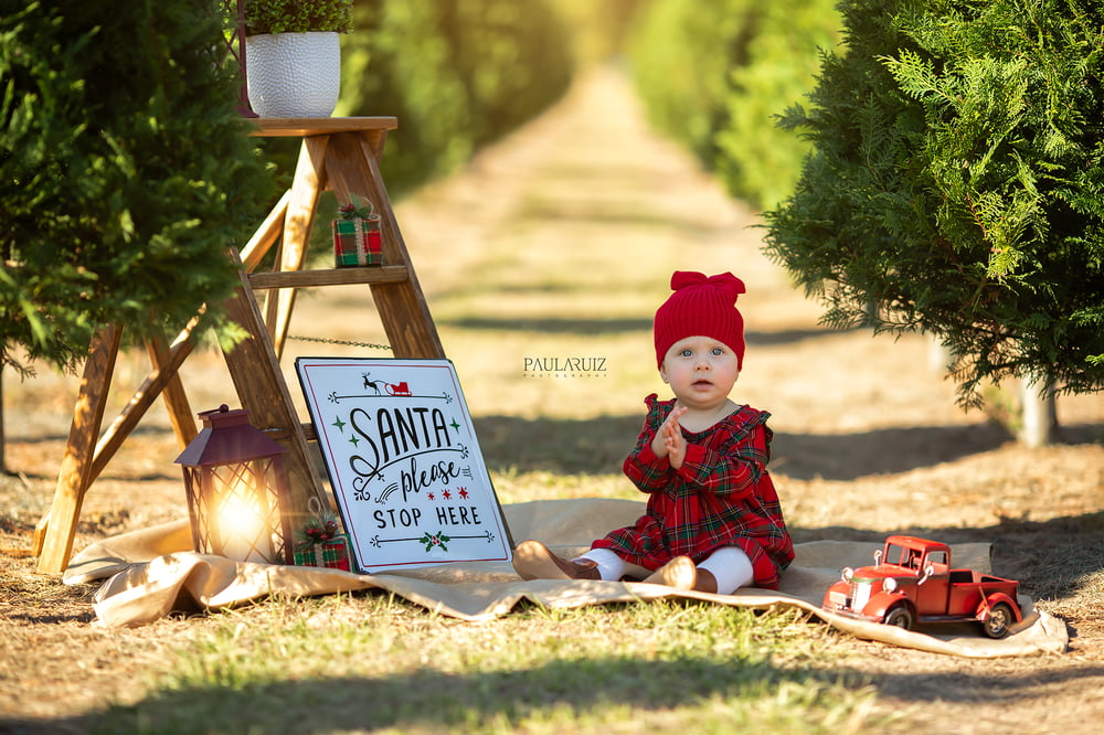 Image of Christmas Mini Sessions -  Tree Farm - 