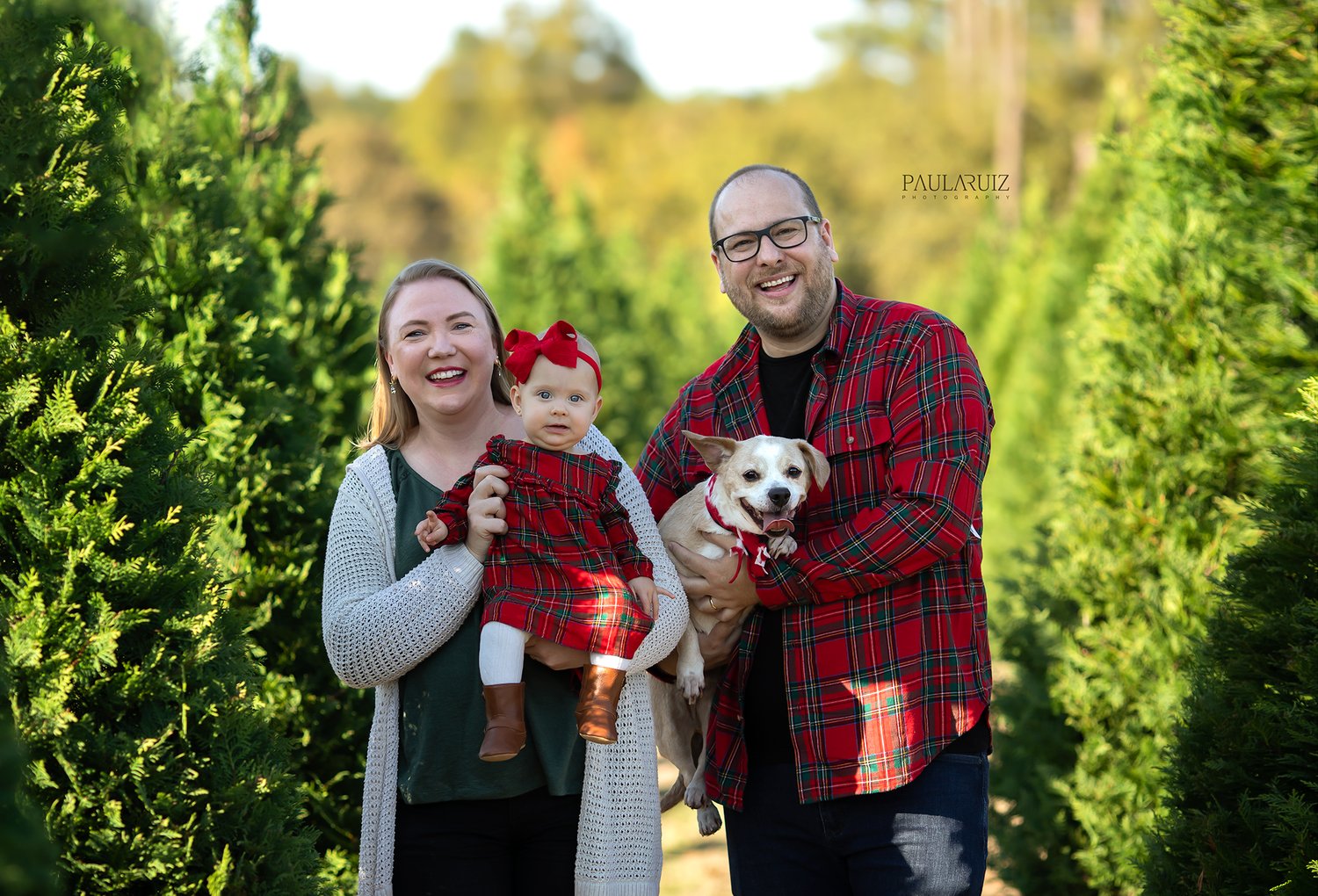 Image of Christmas Mini Sessions -  Tree Farm - 