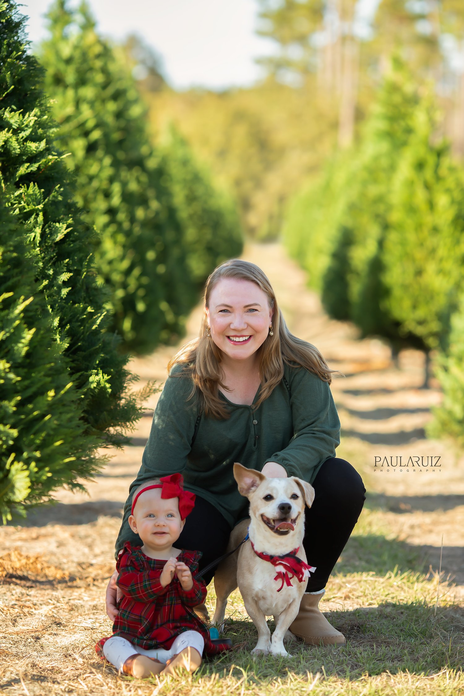 Image of Christmas Mini Sessions -  Tree Farm - 