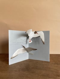 Image 1 of Seagull Pop Up Card